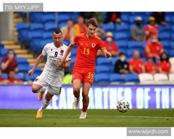 足球星签卡收藏价值与市场趋势深度解析 足球星签卡收藏价值与市场趋势深度解析